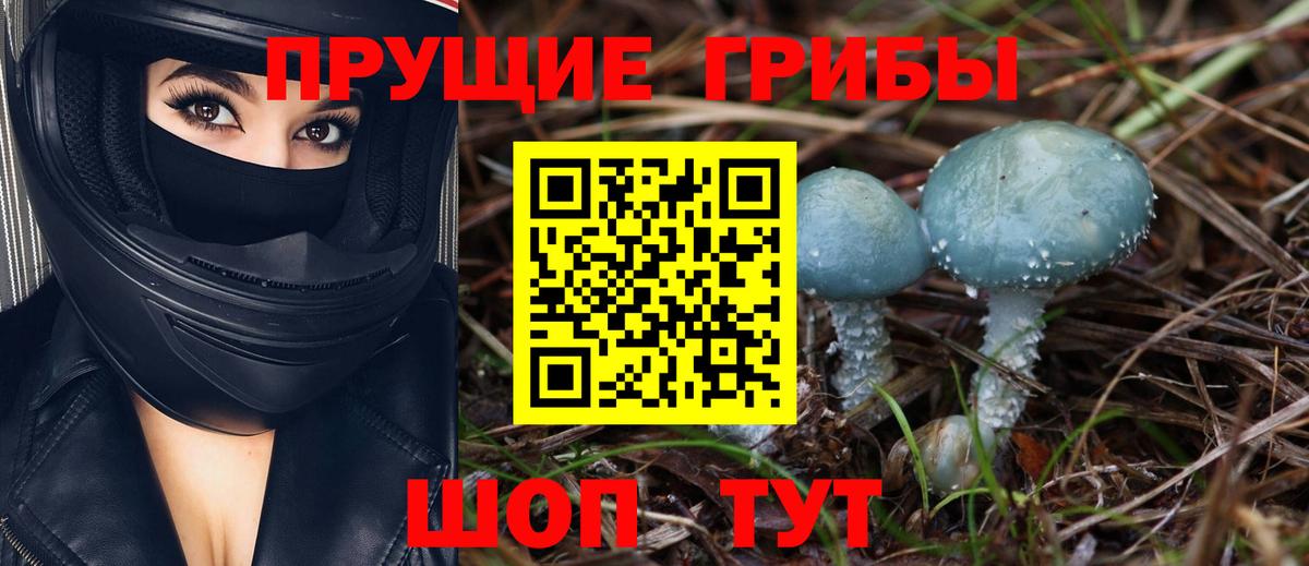 Галлюциногенные грибы GOLDEN TEACHER Зима